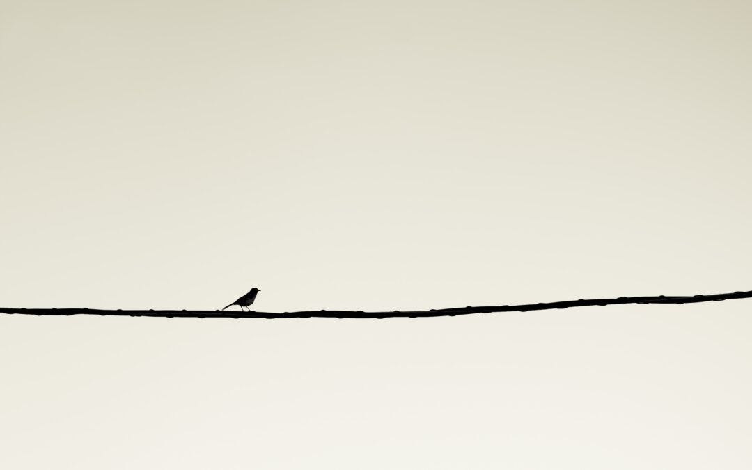 Will We Cling to God Even on the Hardest Days?