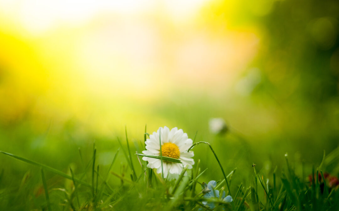 Thankful for the Disability Trenches