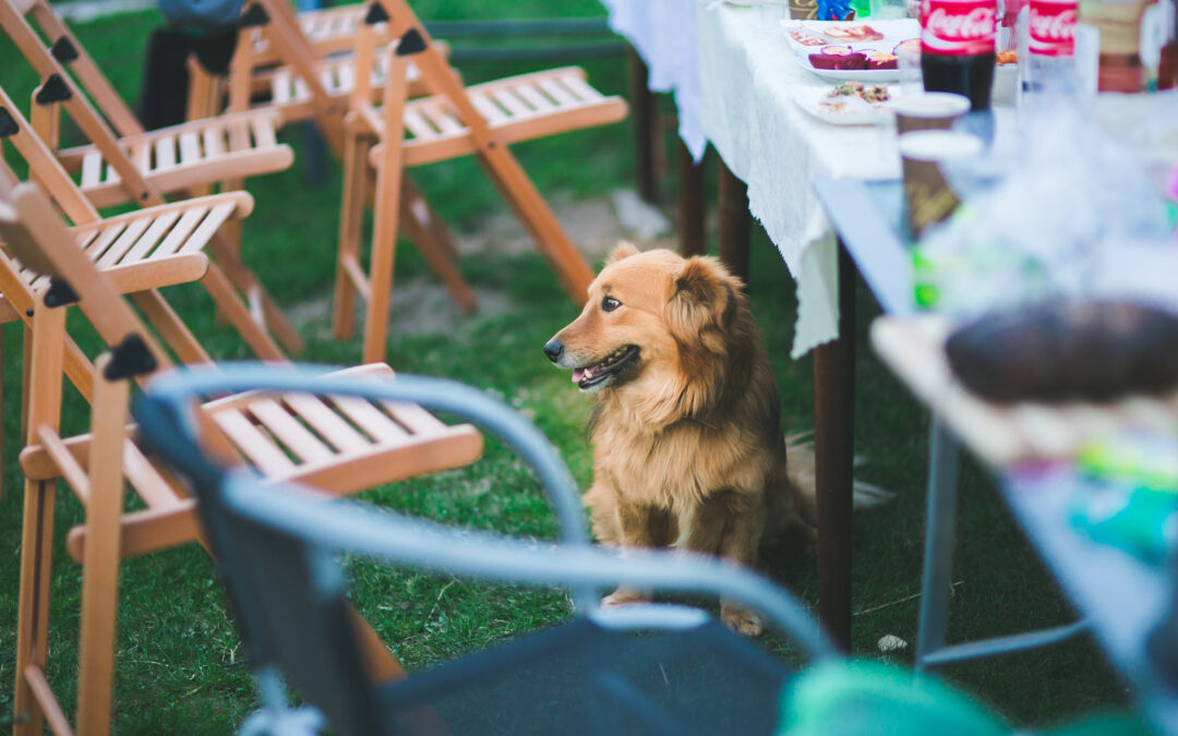 7 Tips for Summer Gatherings When You Include Special-Needs Families