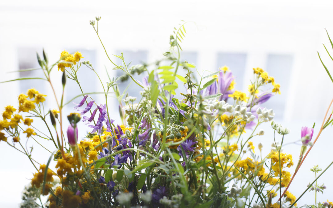 The Prayer You Stopped Praying