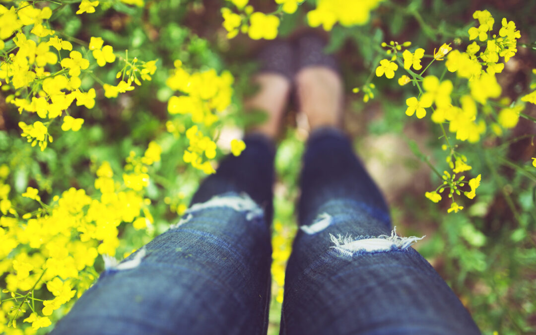 A Word of Encouragement for Single Parents