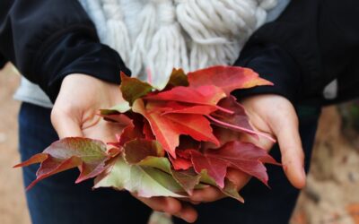 Disinhibited Social Engagement Disorder… The new term for Reactive Attachment Disorder?