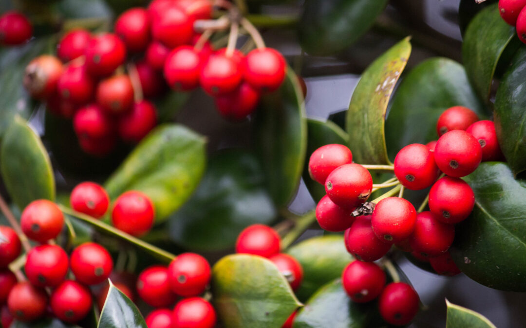 The Very Best Christmas Gift of All—A Church That Includes
