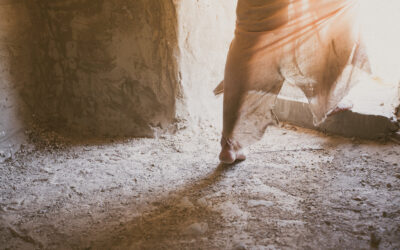 Thomas Knew Jesus by His Scars, and by Them We Are All Healed