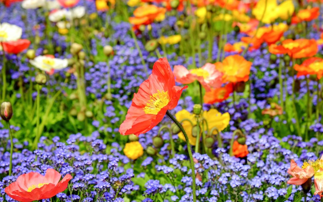 What Parents of Special Needs Kids Need to Know about Grief, Faith, and Hope