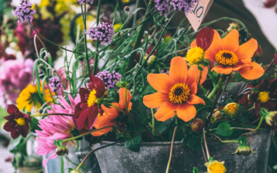 3 Things I Didn’t Expect as a Special Needs Parent