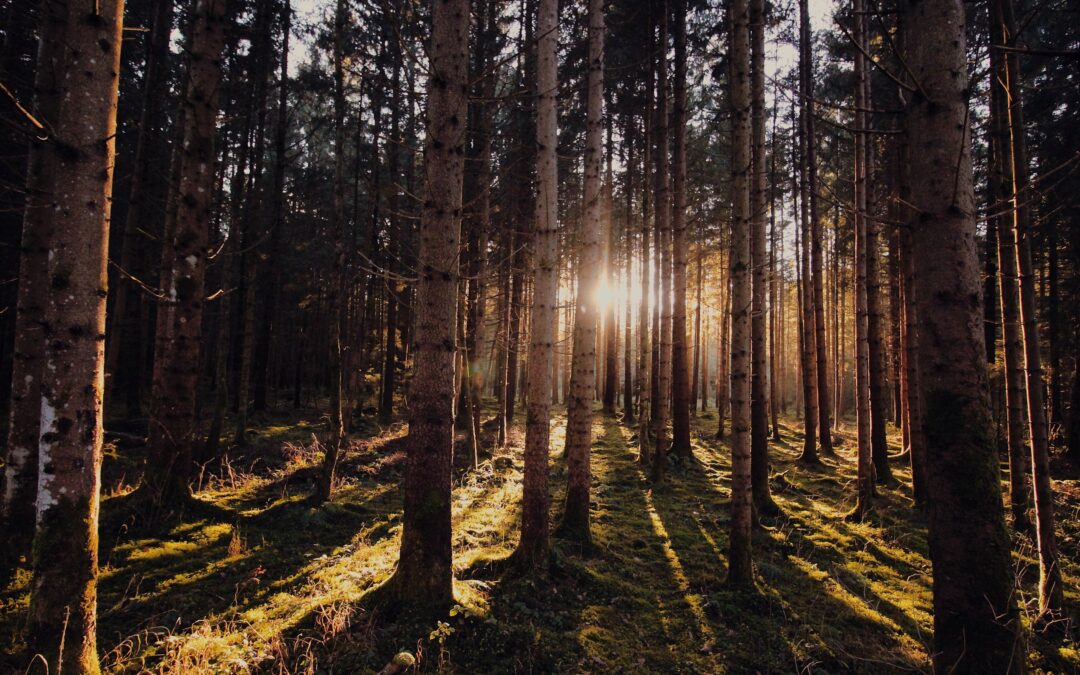 Waiting for Beautiful: How to Make Peace with God’s Agenda When It Hurts