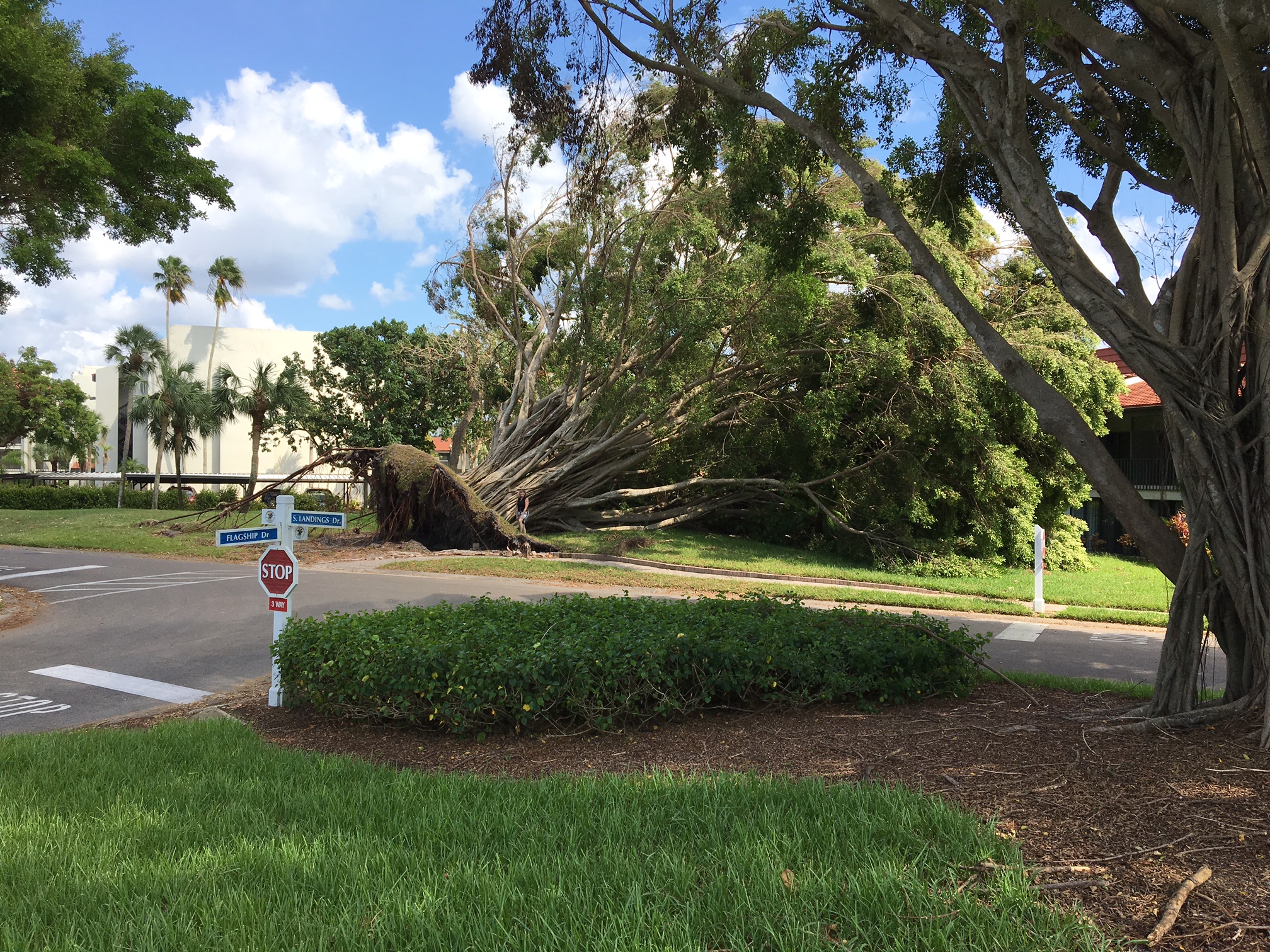 attachment-59ef37e290bcce54c353b13d