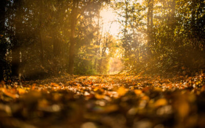 The Secret of Being Content in Hard Times