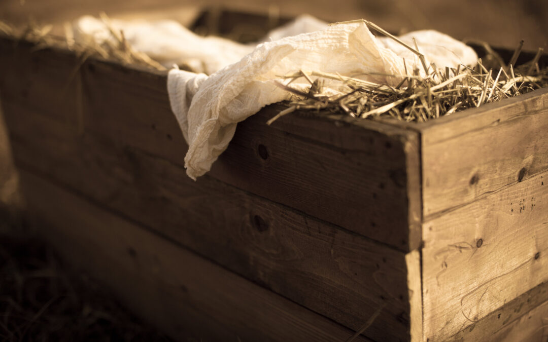 Navigating Others’ Expectations of Your Family This Holiday Season