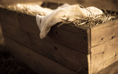 Navigating Others’ Expectations of Your Family This Holiday Season