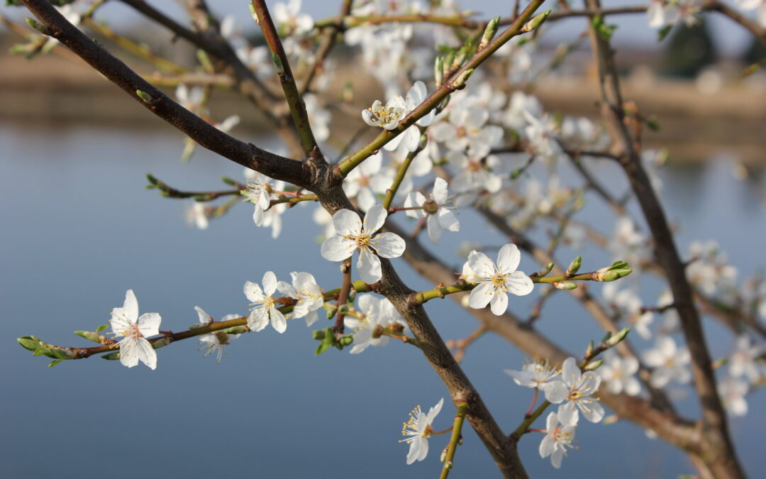 Here’s How Special-Needs Parenting Gets Easier