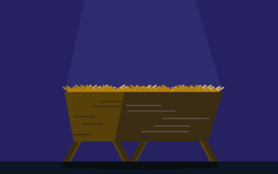 What Part In The Nativity Play Is There for A Disabled Child?