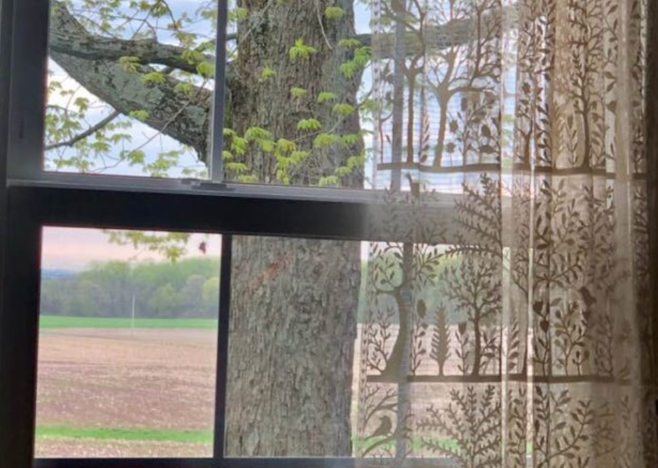 Remove the Rescue Vest and Let God be God