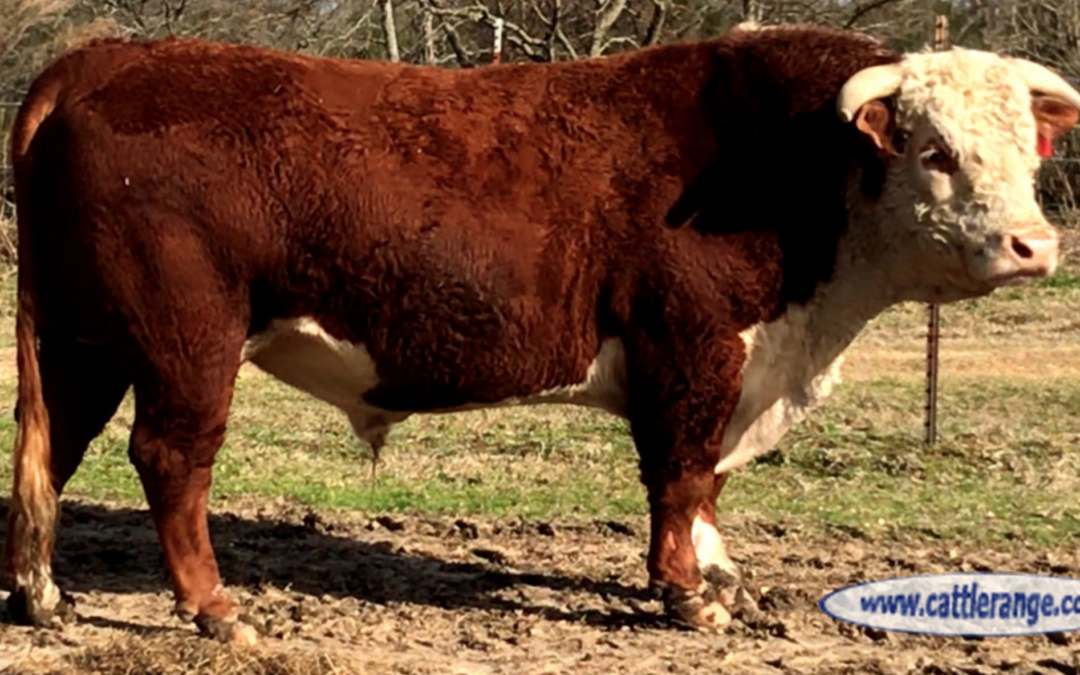 Wide Margins For the Bullied