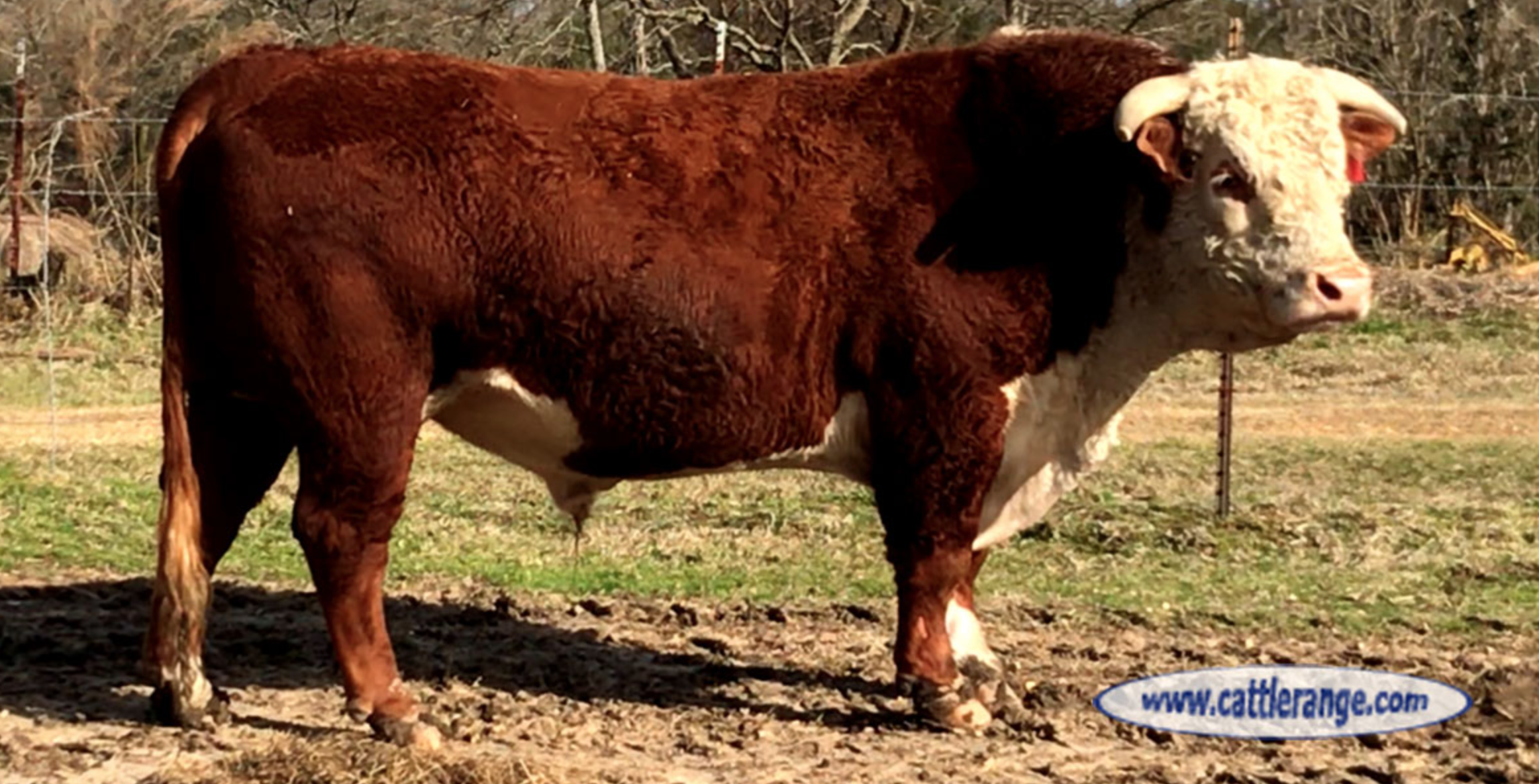 attachment-5d07de74a44aaa0001892777