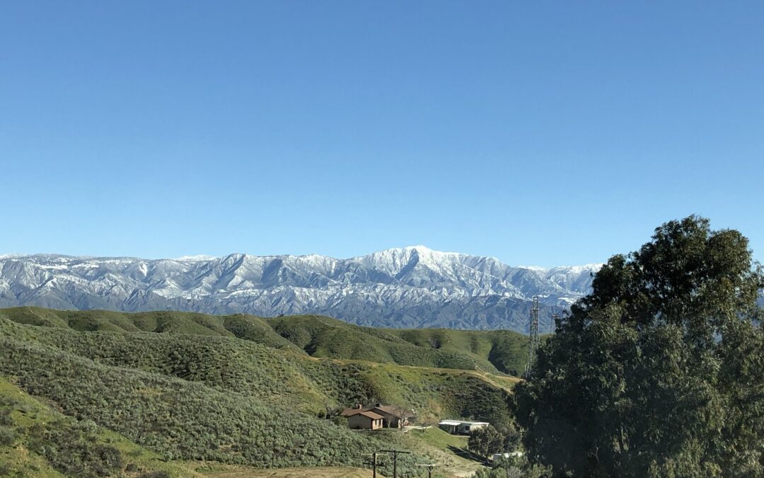 Joy, Even in the Messy