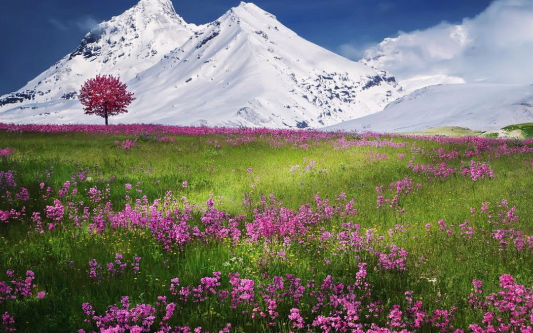 A Fresh Hope for the School Year