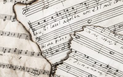 Finding Light In the Darkness: Refuge for the Weary