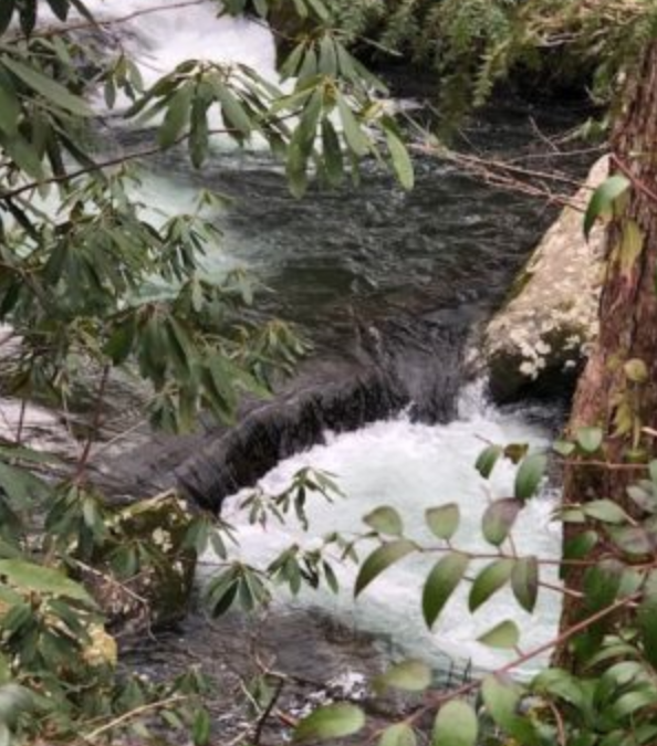 Solitude: Learning to Let God be God