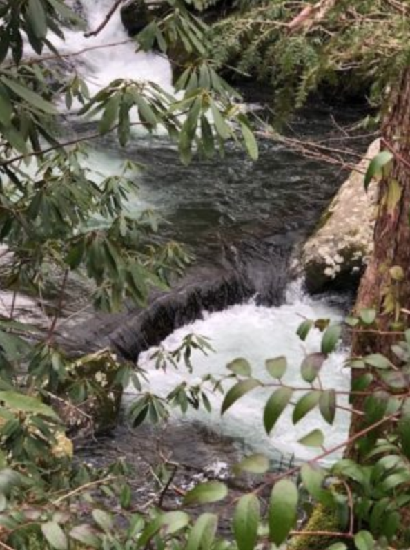 attachment-5e34911bda892b503ea01c8a