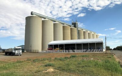 Emerging from the silos…Disability ministry as a mindset, not a program