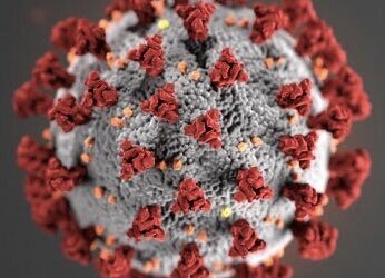 Church, the disability community and the coronavirus