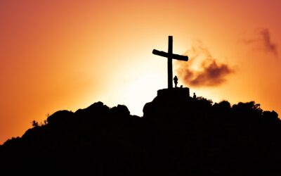 Why does God allow coronavirus and other types of suffering?