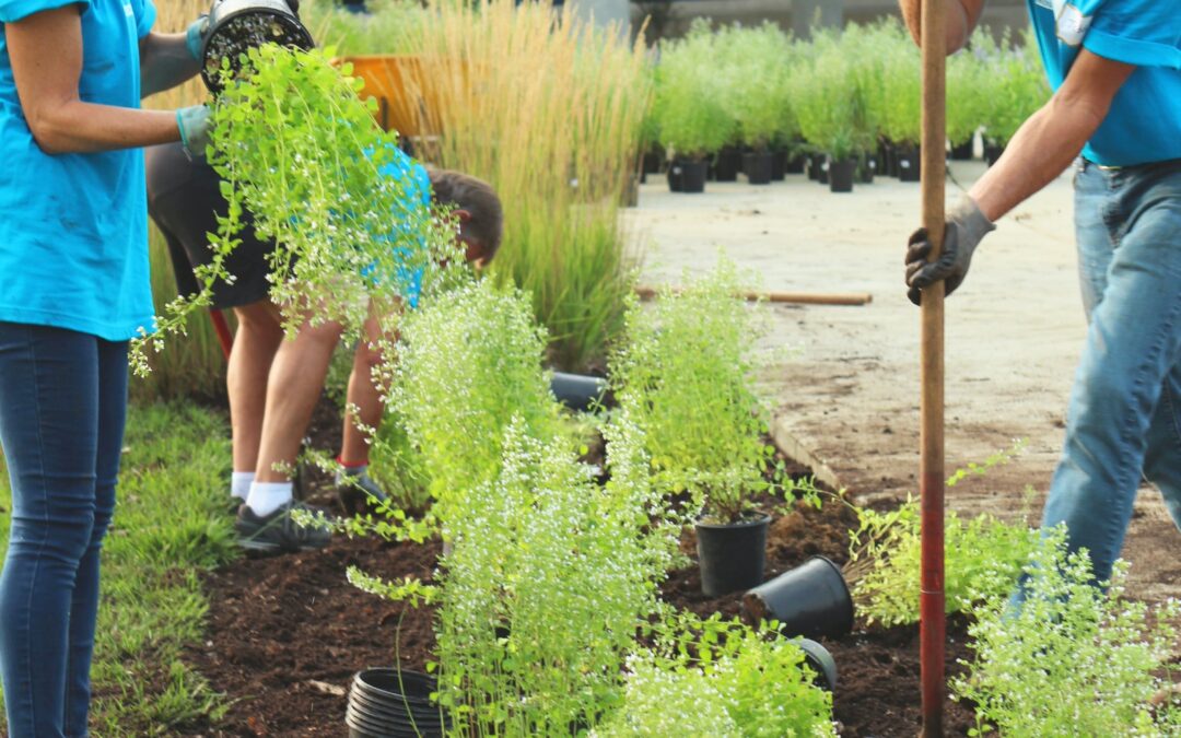 Four Questions to Help Churches Engage With People of All Abilities