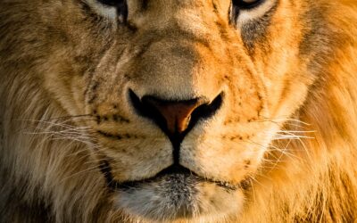 Ten Scriptural Weapons to Defeat the Anxiety from COVID-19