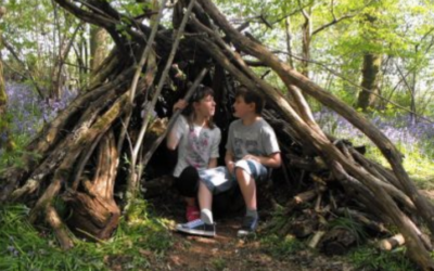 The Impacts of Special Needs on Siblings