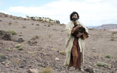 An Encouraging Verse for Special Needs Parents During Times of Uncertainty