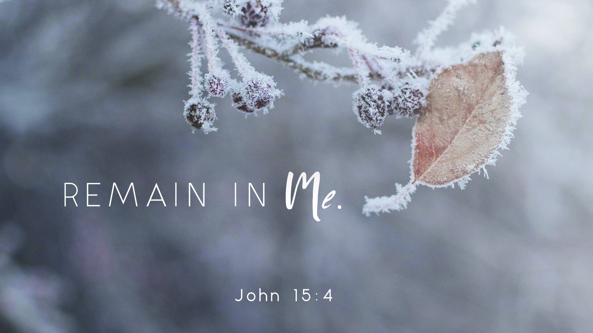 attachment-5fc513df3f75b1664374e60f