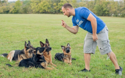 How Do We Respond to God’s Call to the Marginalized?