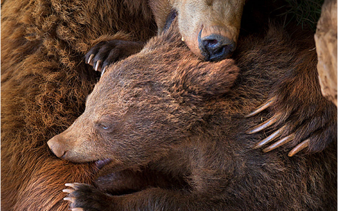 Seven Ways to Demonstrate Christ-Like Advocacy