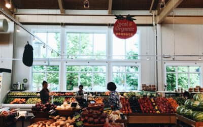 Do You See What I See?