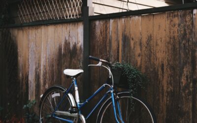 Stable and Steadfast: Not Shifting from the Hope of the Gospel