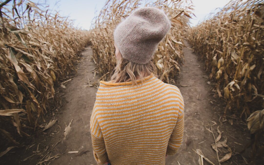 What Being Lost in a Corn Maze Taught Me about My Relationship with God