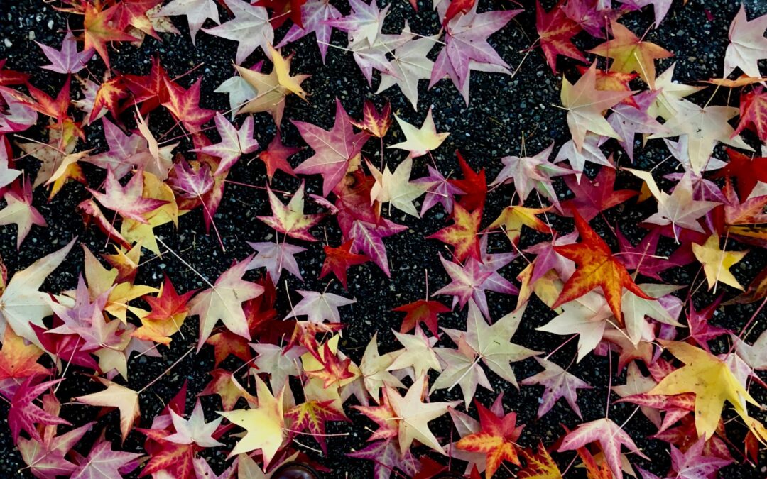 4 Irritating Things I am Thankful for this Year