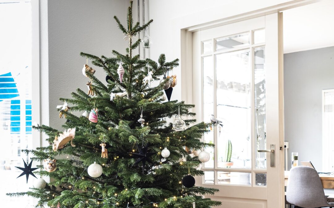 Memories on my Christmas Tree