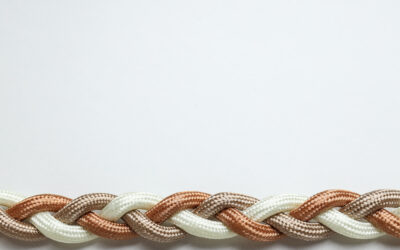 Strength in Numbers, a Cord of Three, and Belonging in the Church for Adults with Disabilities: Podcast Episode 052