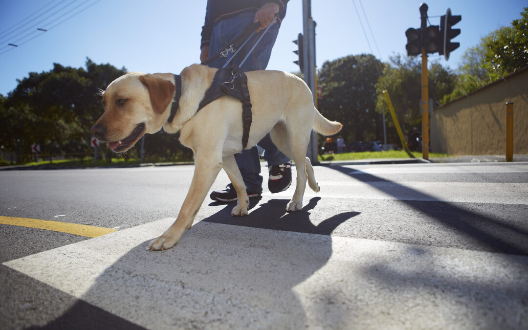 Dogs in Church: Podcast Episode 062