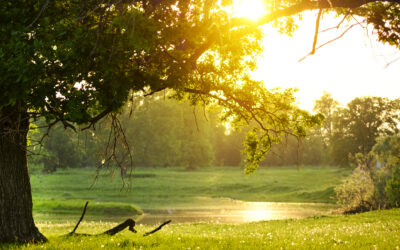 Summer Interns for Your Disability Ministry: Podcast Ep 128